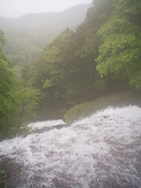soku_31237.jpg :: 風景 自然 滝 湯滝 