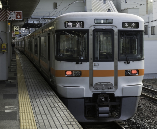 soku_31383.jpg :: 乗り物 交通 鉄道 電車 JR東海 
