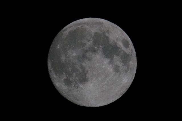 soku_31470.jpg :: 風景 自然 天体 月 満月 中秋の名月 