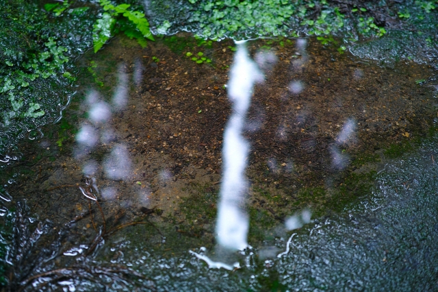 soku_31550.jpg :: 風景 自然 水面 水鏡 水たまり 