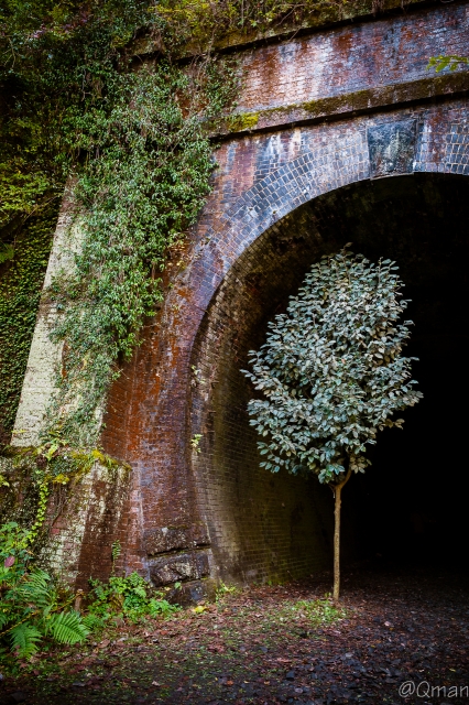 soku_31923.jpg :: 風景 レンガ 遺構 煉瓦 トンネル 鉄道 廃線 自然 山 樹木 