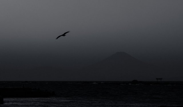 soku_32070.jpg :: 動物 鳥 野鳥 自然の鳥 風景 自然 山 富士山 