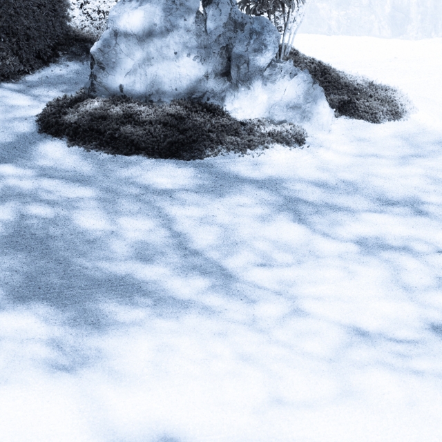 soku_32128.jpg :: 風景 自然 雪景色 