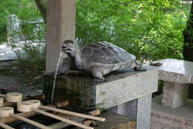 soku_32192.jpg :: 建築 建造物 神社 手水所 亀 