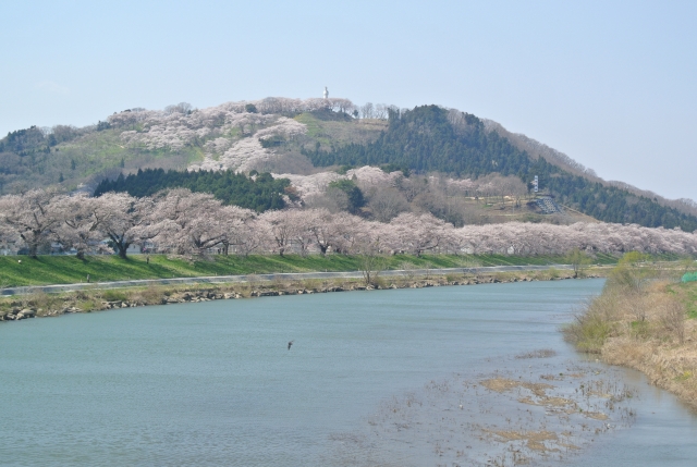soku_32363.jpg :: 宮城県 一目千本桜 鳥 風景 自然 川 河川 
