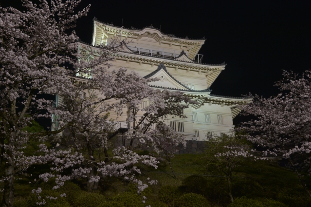 soku_32490.jpg :: 植物 花 桜 サクラ 夜桜 建築 建造物 城 