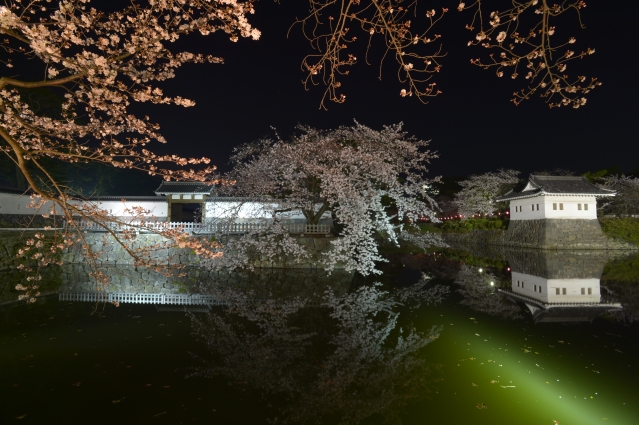 soku_32492.jpg :: 植物 花 桜 サクラ 夜桜 建築 建造物 城 