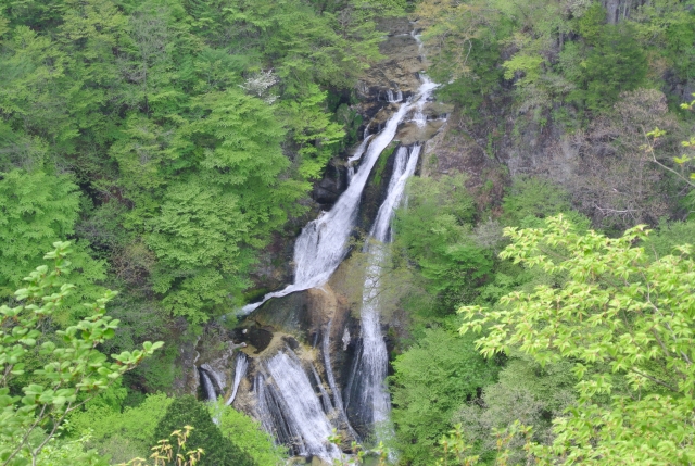 soku_32597.jpg :: 栃木県 風景 自然 滝 