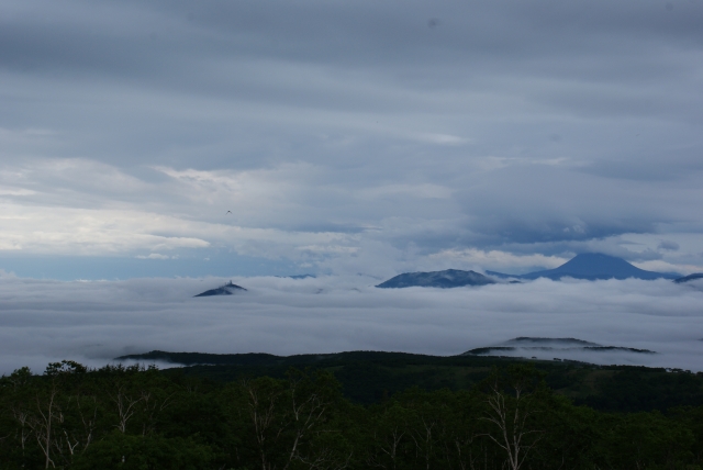soku_32962.jpg :: 摩周湖展望台 雲海 風景 自然 空 雲 