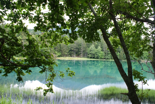 soku_32970.jpg :: オンネトー 風景 自然 湖 阿寒国立公園 