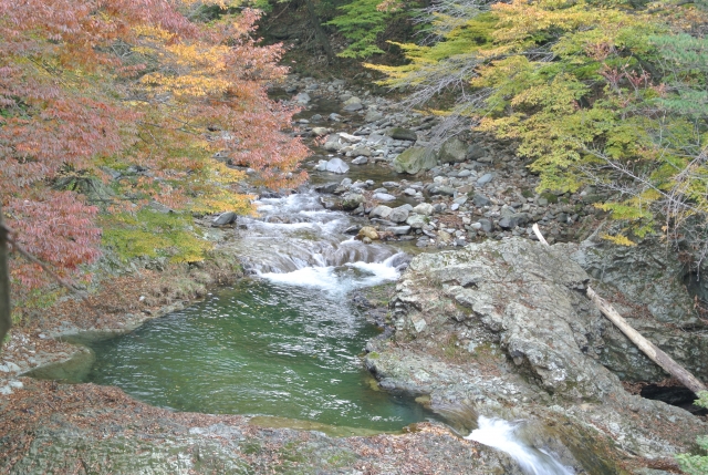 soku_33147.jpg :: 風景 自然 紅葉 川 