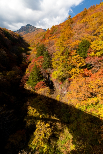 soku_33221.jpg :: 紅葉 風景 自然 山 
