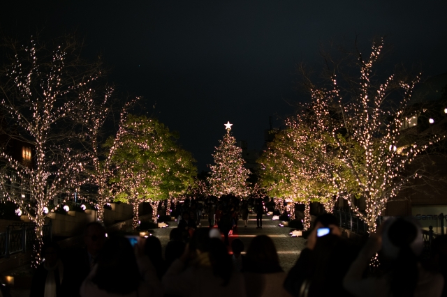 soku_33341.jpg :: 風景 街並み 都市の風景 夜景 クリスマスイルミネーション 恵比寿ガーデンプレイス 