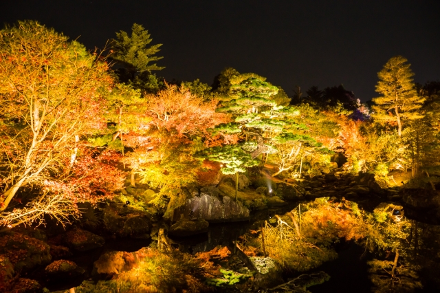 soku_33361.jpg :: 風景 自然 紅葉 色 光 ライトアップ 夜景 