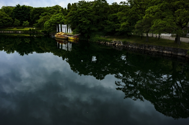 soku_33475.jpg :: 風景 風景 自然 池 ボート 水面 水鏡 