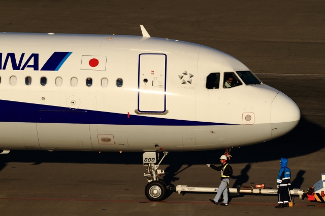 soku_33575.jpg :: 羽田 ANA/A321 乗り物 交通 航空機 飛行機 旅客機 