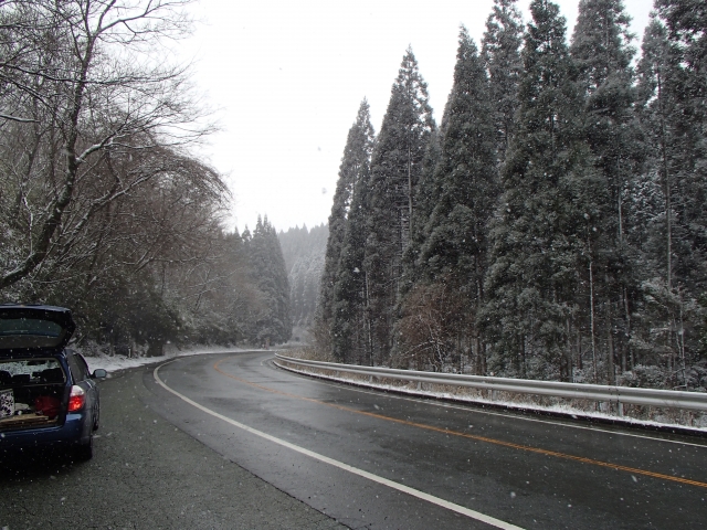 soku_33735.jpg :: 雪 風景 自然 道路 山道 