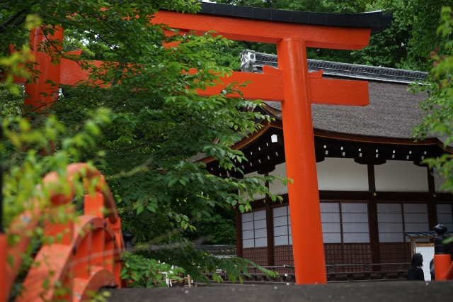 soku_34073.jpg :: 建築 建造物 神社 鳥居 