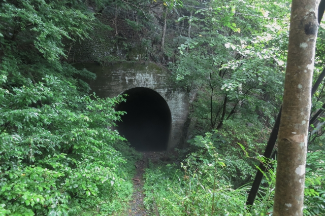 soku_34228.jpg :: 風景 自然 廃線 建築 建造物 廃墟 トンネル 昭和二十七年竣工 