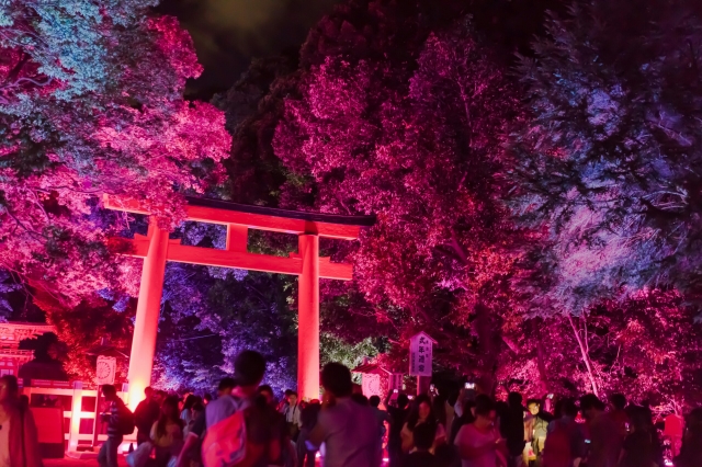 soku_34339.jpg :: 建築 建造物 神社 鳥居 夜景 色 光 ライトアップ 