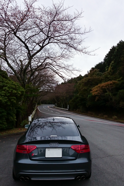 soku_34380.jpg :: 風景 郊外 車 ドライブ Audi S5 箱根ターンパイク 全開走行 G快感で脳が逝く 