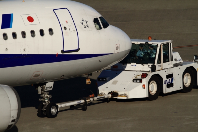 soku_34826.jpg :: ANA A321/HND 乗り物 交通 航空機 飛行機 旅客機 トーイングカー 