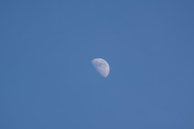 soku_35104.jpg :: 風景 自然 天体 月 三日月 