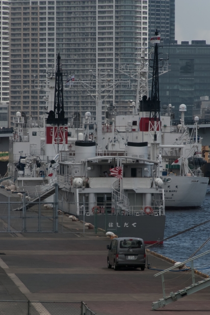 soku_35114.jpg :: 海上自衛隊 カナダ海軍 東京港晴海埠頭 ASY.91 はしだて Hashidate 迎賓艦 虎の子 超レア 