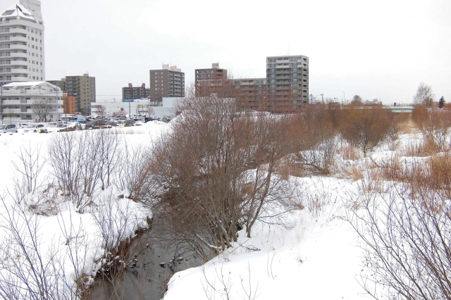 soku_35558.jpg :: 冬の北海道 大胆 風景写真家 プロ 作例 ケント白石 