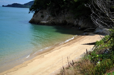 soku_02194.jpg :: D5000 自然 風景 波 海岸 ビーチ 砂浜 しまなみ海道 