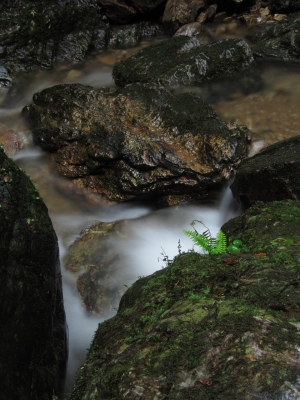 soku_02389.jpg :: PowerShotS95 自然 風景 川 水分 河川 