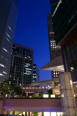 soku_02673.jpg :: 建築 建造物 高層ビル 夜景 