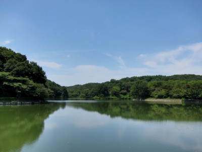 soku_02723.jpg :: PowerShotS95 自然 風景 湖 池 水分 八丁湖 HDR 