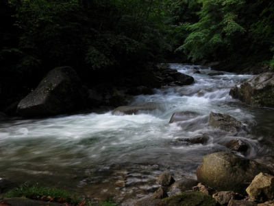 soku_02727.jpg :: PowerShotS95 自然 風景 川 河川 水分 西沢渓谷 