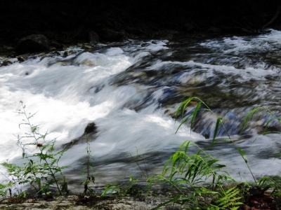 soku_02934.jpg :: PowerShotS95 自然 風景 登山 西沢渓谷 川 水分 
