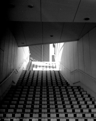 soku_02959.jpg :: 階段 モノクロ フイルム フィルム ネガ ブローニー 銀塩 