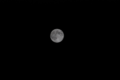 soku_03046.jpg :: 自然 風景 月 満月 