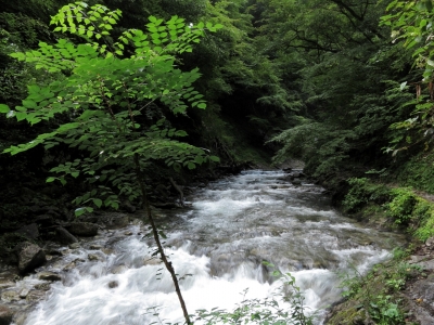 soku_03077.jpg :: PowerShotS95 自然 風景 川 河川 水分 西沢渓谷 