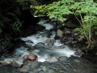 soku_03082.jpg :: PowerShotS95 自然 風景 川 河川 水分 