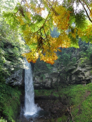 soku_03481.jpg :: PowerShotS95 自然 風景 滝 水分 裏見の滝 紅葉 