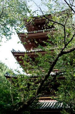 soku_03519.jpg :: 建築 建造物 神社 仏閣 寺院 五重塔 