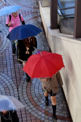 soku_03531.jpg :: 人物 子供 少女 女の子 傘 