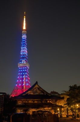 soku_03555.jpg :: 建築 建造物 塔 タワー 東京タワー 夜景 華嵐 