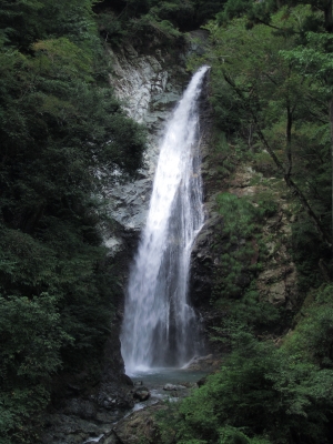 soku_03600.jpg :: 自然 風景 滝 水分 