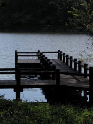 soku_03707.jpg :: PowerShotS95 自然 風景 湖 水分 八丁湖 
