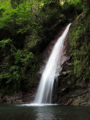 soku_03806.jpg :: PowerShotS95 自然 風景 滝 水分 秩父華厳の滝 