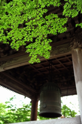 soku_03875.jpg :: 建築 建造物 神社 仏閣 寺院 鐘 もみじ 
