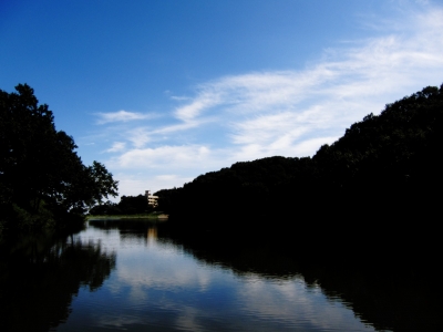 soku_04100.jpg :: PowerShotS95 自然 風景 湖 水分 八丁湖 