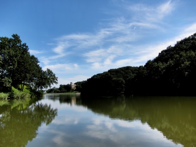 soku_04101.jpg :: PowerShotS95 自然 風景 湖 水分 八丁湖 HDR 