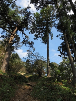 soku_04158.jpg :: PowerShotS95 自然 風景 空 雲 樹木 道 関八州展望台 
